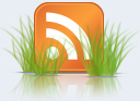 Blogwiese Feed