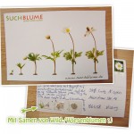 Suchblume – ich bin begeistert