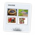 NextGEN-Gallery in Sidebar