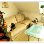 Yeah – unsere Couch ist da