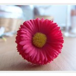 Colorkey mit Photoshop