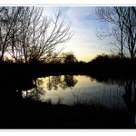 Woche 32 – Silhouetten