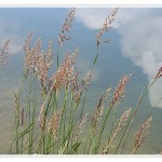 Woche 33 – Spiegel