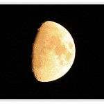 Woche 37 – Spaziergang bei Nacht