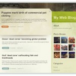 Kostenloses WordPress Theme