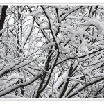 Mit Schnee bedeckt