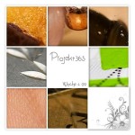 Projekt365 – Woche 4