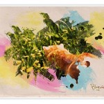 Watercolor Effekt in 10 Schritten