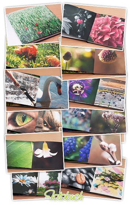 Fotobuch von FujiDirekt - einzelne Seiten
