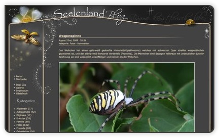 Seelenland.at - Blog - Screenshot
