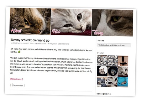 Katzenblog - Blogwise - Screenshot