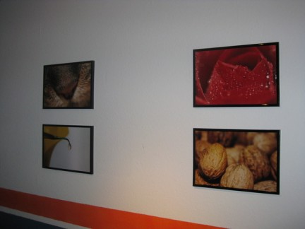 Meine Fotos an Tims Wand