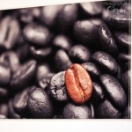 Leinwand von Feinwand.de