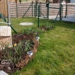 Garten - Blumenbeet - 10.04.2010