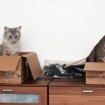 Tammy und Rico