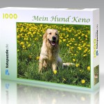 Fotopuzzle 1000 Teile